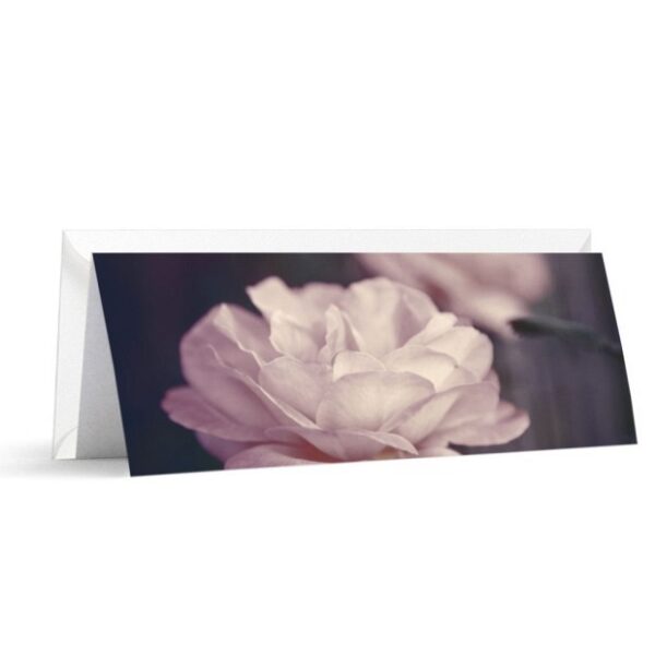 rose.jpg