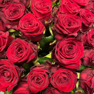 5 rote Rosen mit Grün