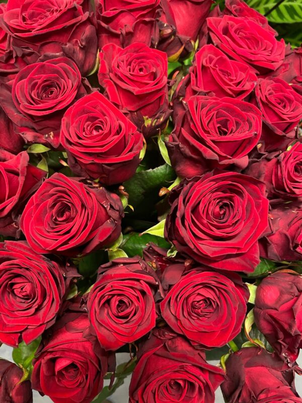 7 rote Rosen mit Grün